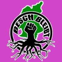 Waldbesetzung in Trier gegen den Moselaufstieg